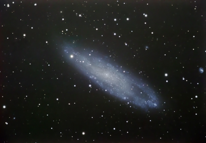 NGC247LRGB(500).jpg (55792 bytes)