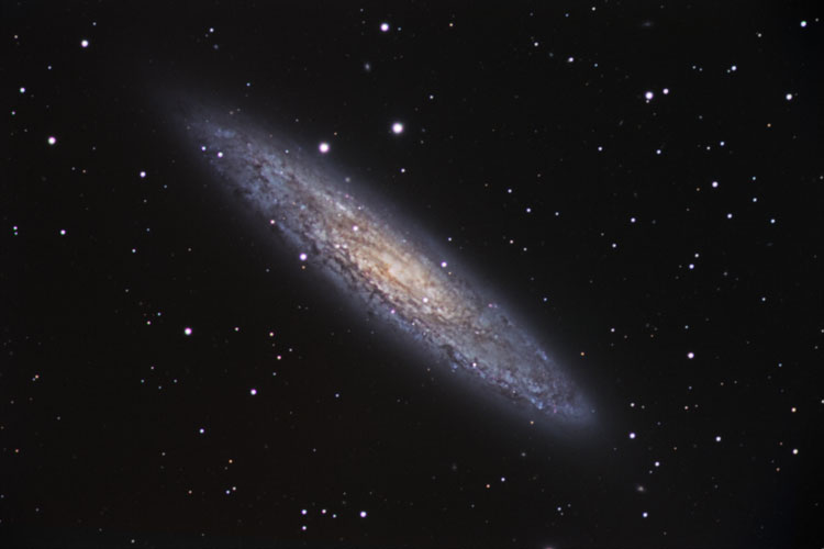 NGC253LRGB(500).jpg (27386 bytes)