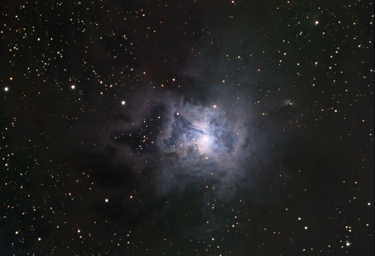 NGC7023LRGB2(500).jpg (47424 bytes)