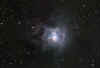 NGC7023LRGB2500.jpg (47424 bytes)