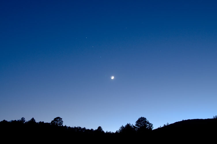 DSC_0965P(500).jpg (19128 bytes)